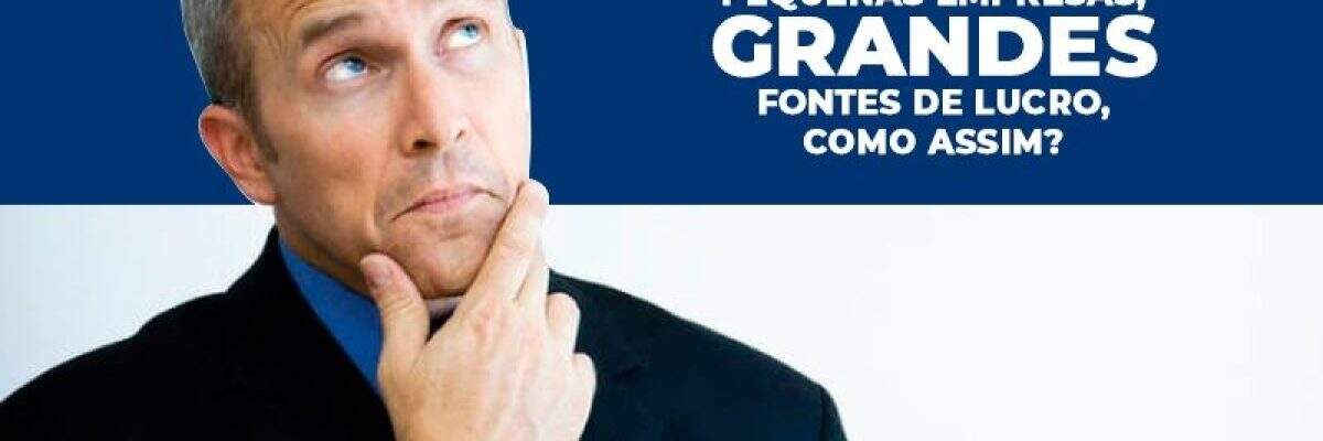 Pequenas Empresas, Grandes Fontes de Lucro. Como assim?!!!