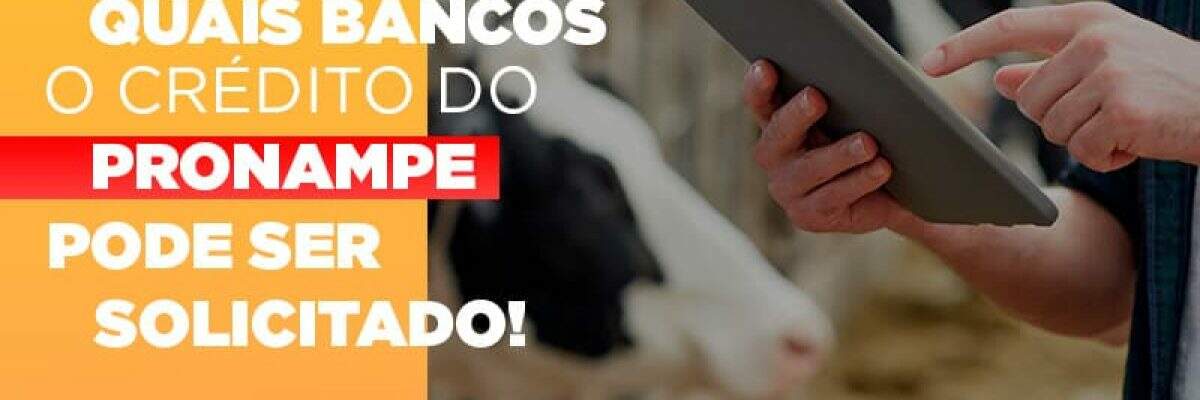 Confira em quais bancos o crédito do Pronampe já pode ser solicitado!