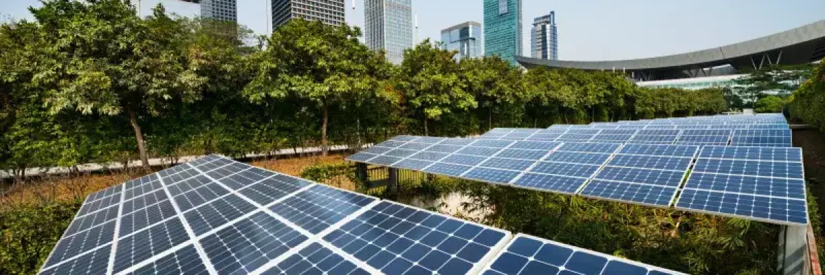 Sustentabilidade Empresarial Aplique Hoje E Garanta Um Futuro Lucrativo - Alliance Contabilidade